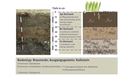 soil auf deutsch